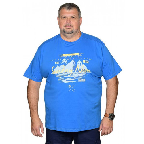 Футболка Polo Pepe |#332|