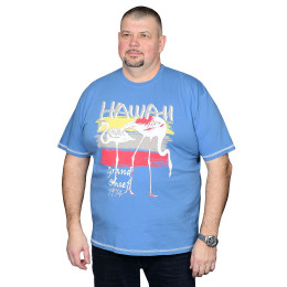 Футболка Polo Pepe |#71323|